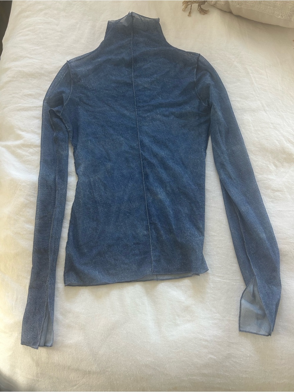 Zara Sheer Long-Sleeve Mock Neck Top in Blue